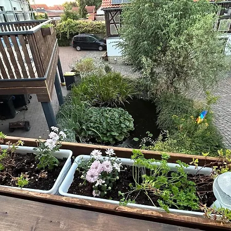 Am Storchennest *