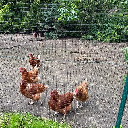 Am Storchennest Apartment *