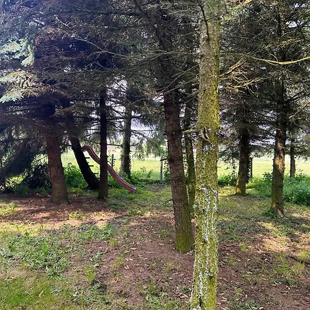 Am Storchennest