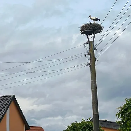 Am Storchennest Apartment
