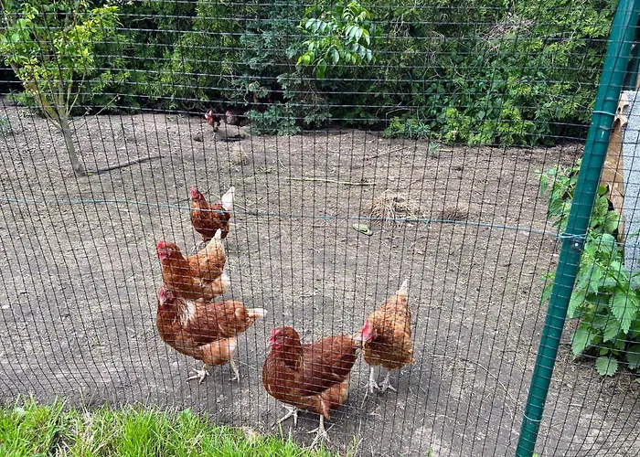 Am Storchennest Lägenhet *