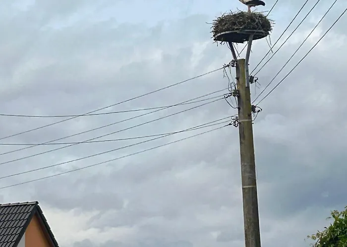 Am Storchennest Lägenhet
